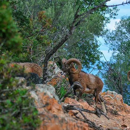 Park - Telis ארבאטקס
