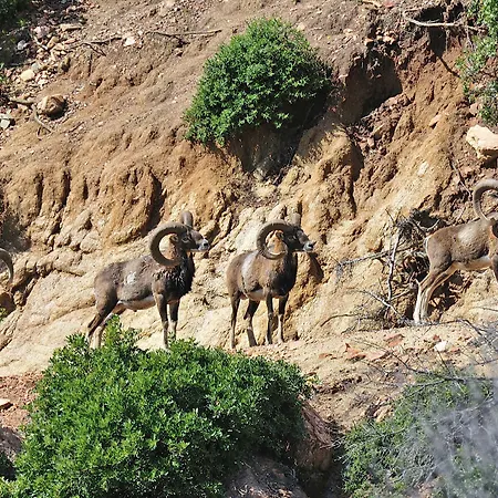 Park - Telis 리조트 아르바탁스