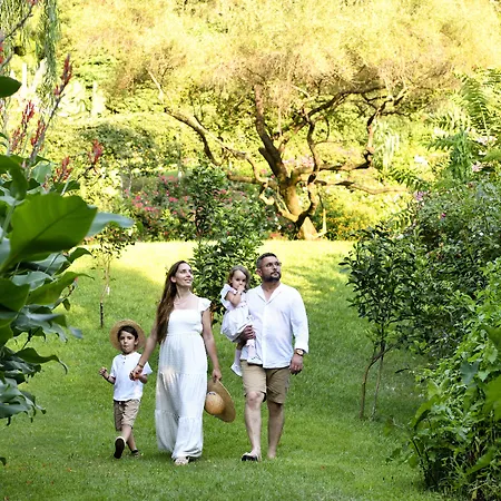 리조트 Park - Telis