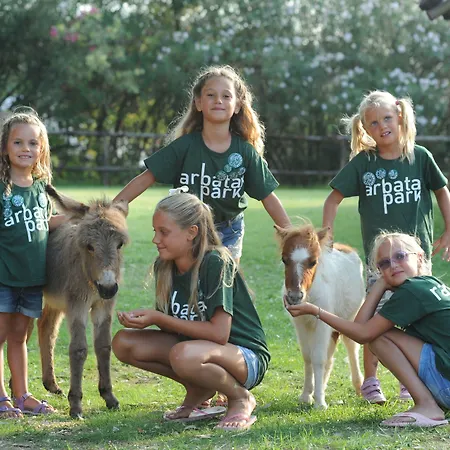 Park - Telis 4* 아르바탁스