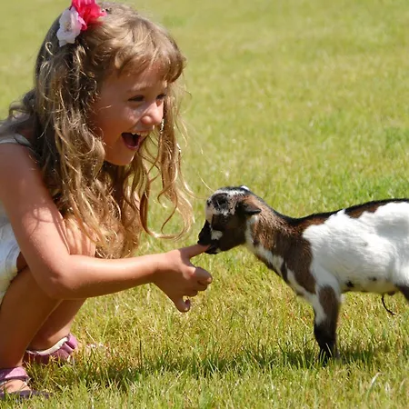 리조트 Park - Telis 아르바탁스