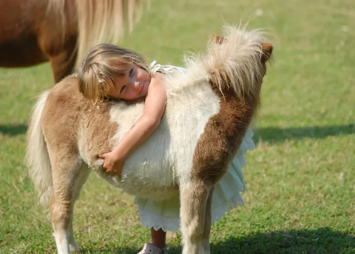 Resort Park - Telis 4*