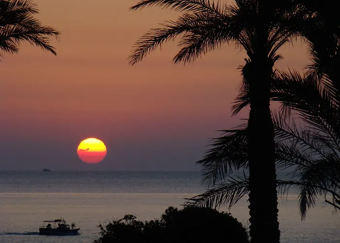 Park - Telis Resort Àrbatax