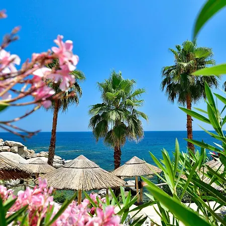 Park - Telis 4*