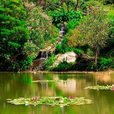 Park - Telis