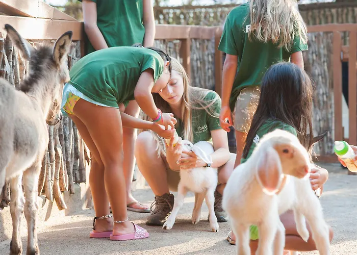 Park - Telis Resort 4*